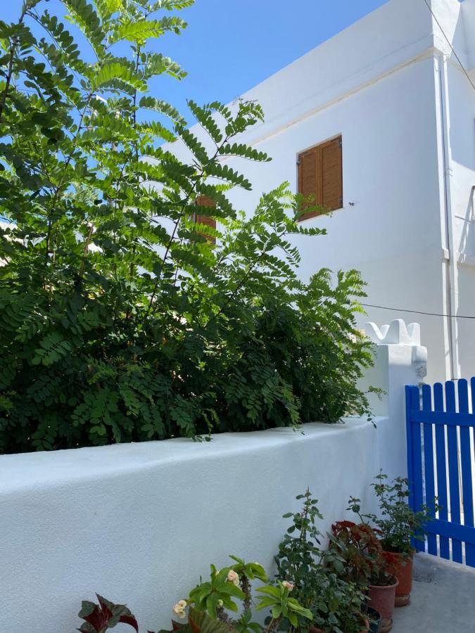 Blue Pearl Apartment Glinado Naxos 외부 사진
