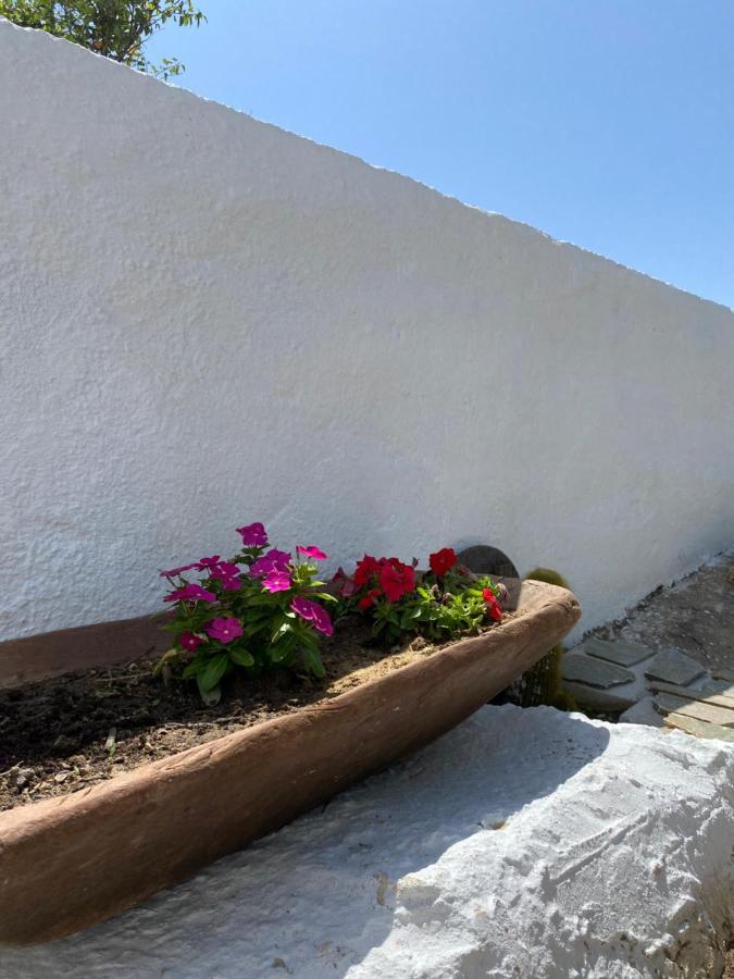 Blue Pearl Apartment Glinado Naxos 외부 사진