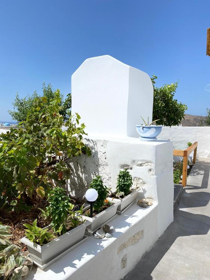 Blue Pearl Apartment Glinado Naxos 외부 사진