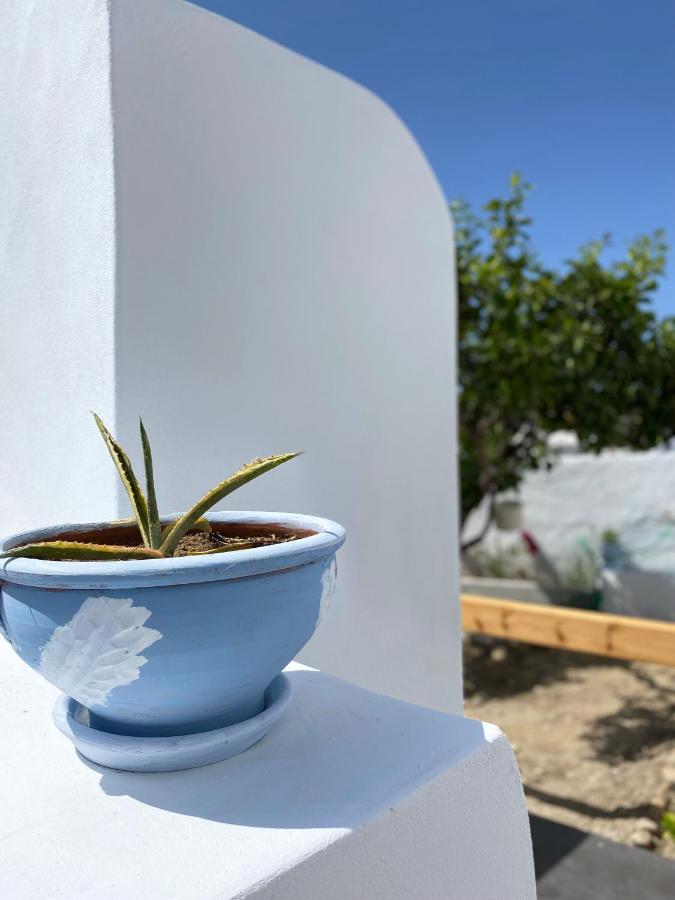Blue Pearl Apartment Glinado Naxos 외부 사진