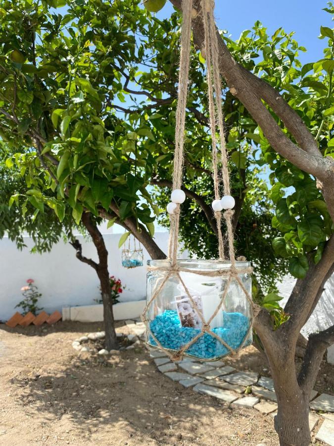Blue Pearl Apartment Glinado Naxos 외부 사진
